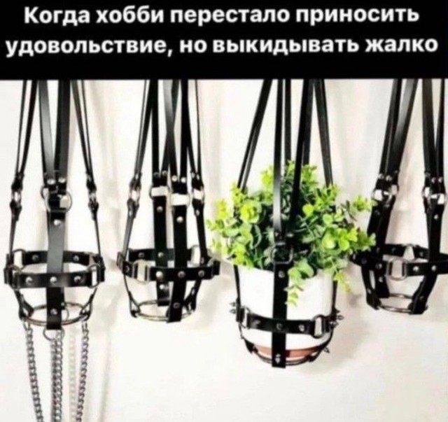 Юмор для тех, кто уже повзрослел и понял, что «иметь всё» - значит ещё и чинить всё 