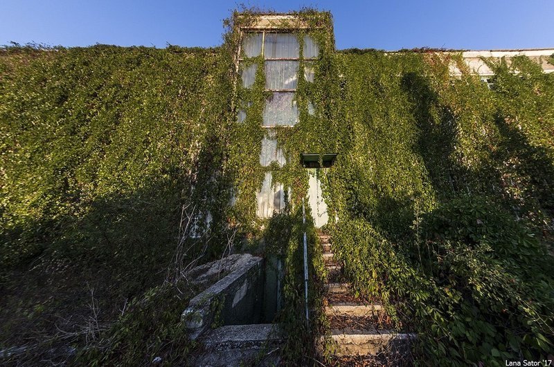 Заросший пионерский лагерь в Крыму Заросший пионерский лагерь в Крыму самостоятельные путешествия,туризм