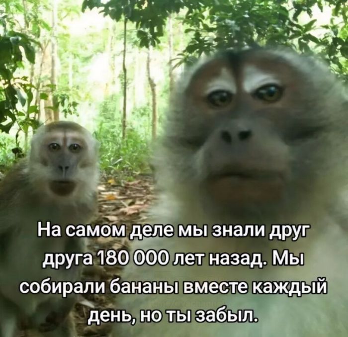 Интернет мемы в воскресение 