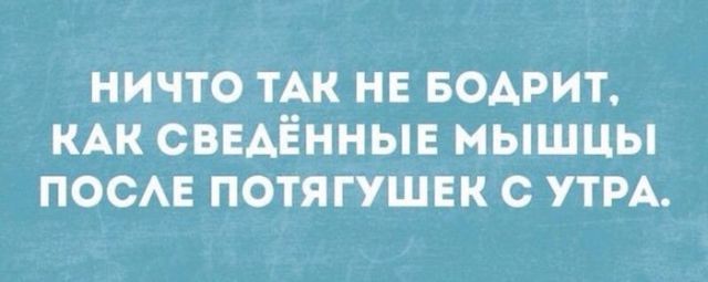 Весёлые картинки картинки, прикол, юмор