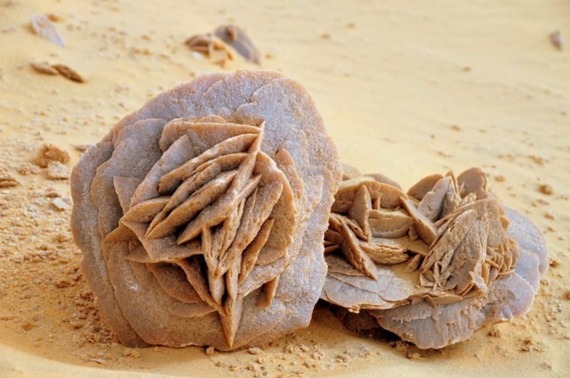 «Розы пустыни»: как в Сахаре образуются каменные цветы
