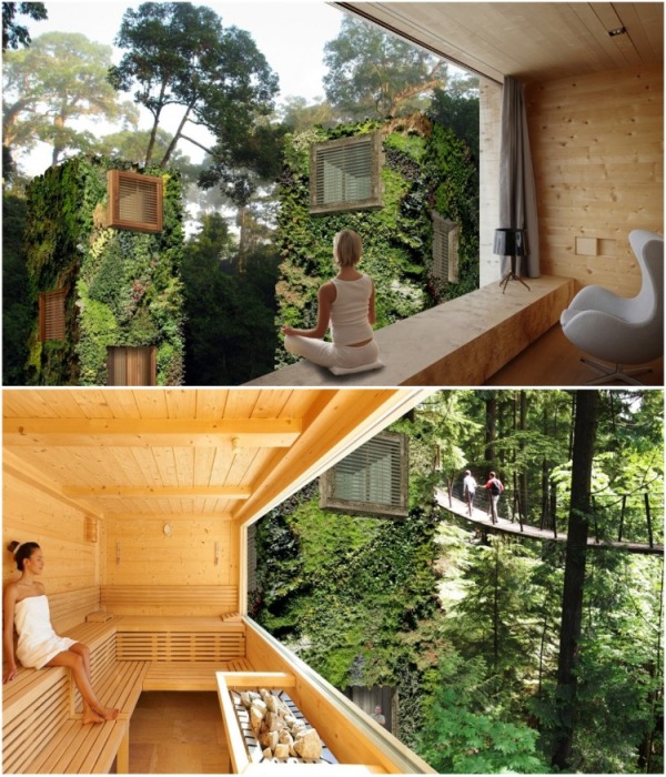 Создание эко-домов с «живыми» фасадами скоро поставят на поток: голландцы показали уникальные образцы архитектура,вертикальное озеленение,эко-дома