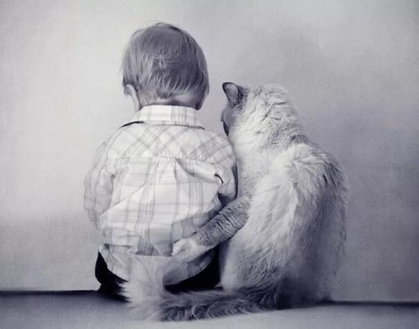 Пушистый релакс, без которого было бы туго не всё так грустно