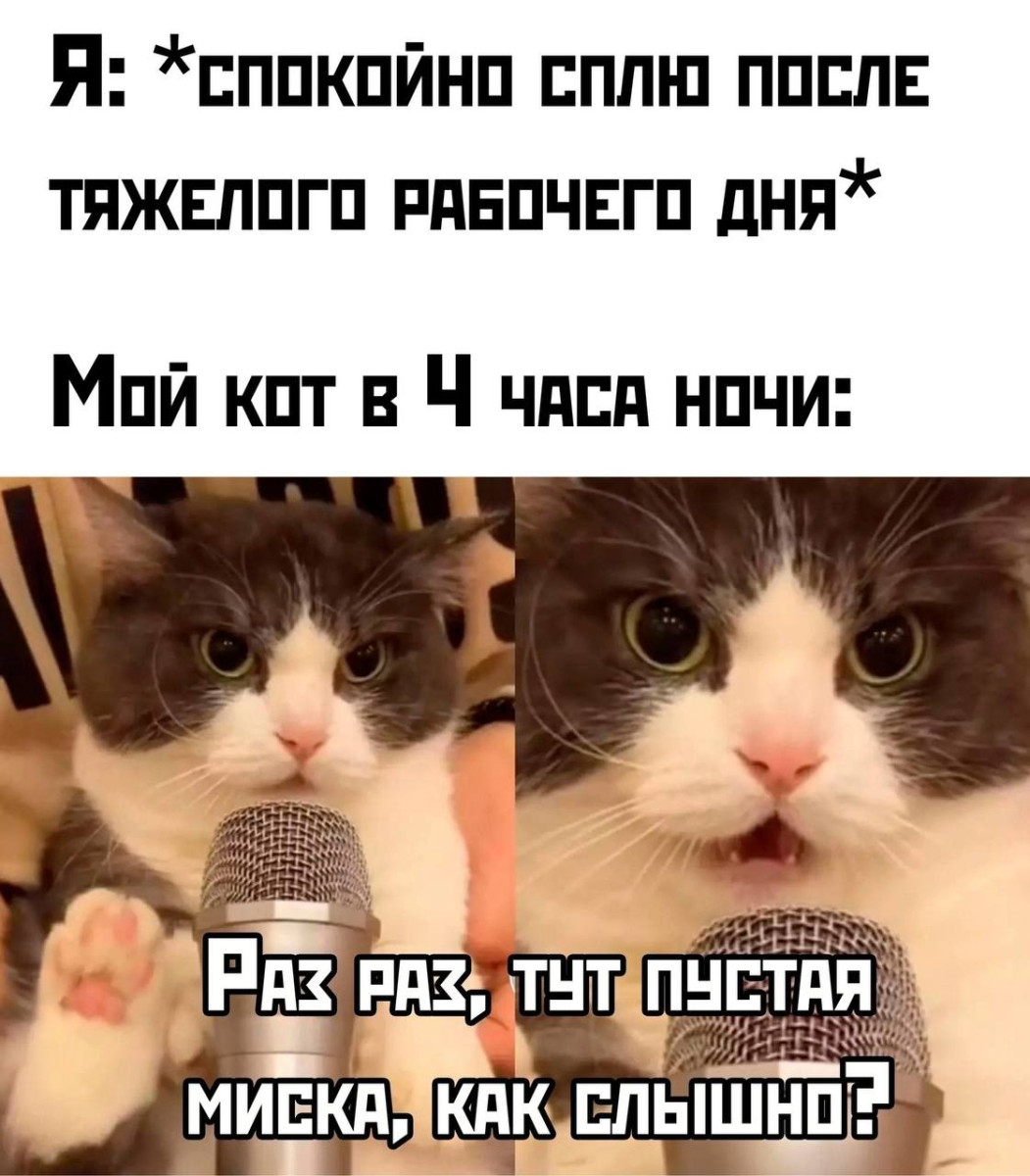 Юмор для тех, кто уже повзрослел и понял, что «иметь всё» - значит ещё и чинить всё 