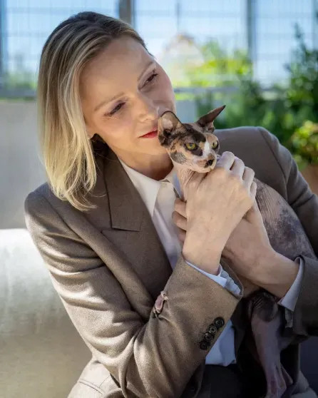 Княгиня Шарлен, князь Альбер II и члены монаршей семьи посетили приют для животных в Монако Шарлен, Альбер, князь, Монако, княгиня, Масси, животных, князя, приюта, семьи, Гримальди, Камилла, Стефания, принцесса, принцессы, ШарленКнягиня, МеланиАнтуанетта, IIКнягиня, Уиттсток, IIГарет