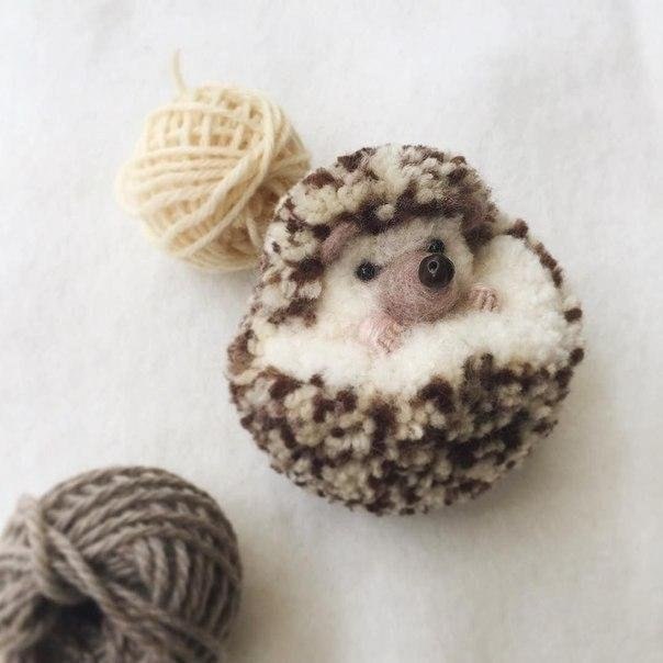 Даже не верится, что это все сделано из помпонов Даже не верится, что это все сделано из помпонов женские хобби