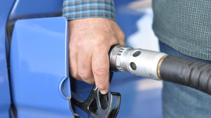 В правительстве РФ оценили возможность осеннего повышения цен на бензин