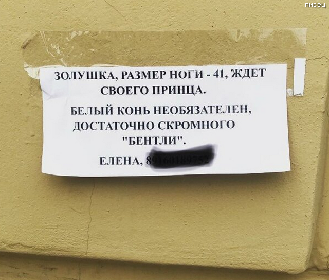 25 учителей, которые научат вас правилам грамотного съёма. Результат гарантирован! 25 учителей, которые научат вас правилам грамотного съёма. Результат гарантирован! смешные картинки