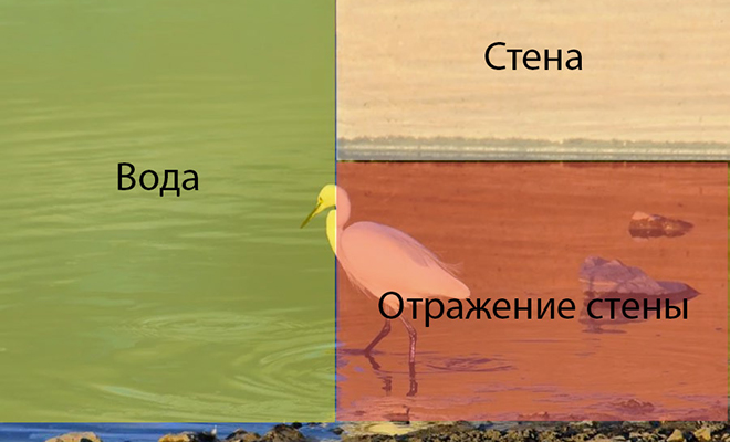 Фото обычной цапли поставило людей в тупик. Сотни комментаторов не могут понять, что с ней не так Кэнити, Странная, обычный, выбор» На, самом, всего, иллюзия, Птица, проходит, рядом, стеной, которая, отражается, слева, имеет, цвет Работы, категорию, довольно, популярны, Японии