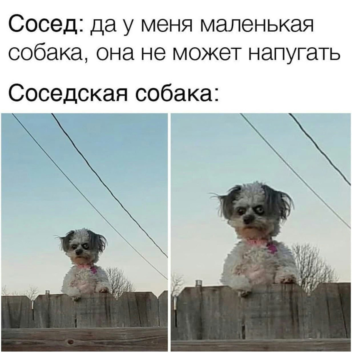 Юмор для тех, кто уже повзрослел и понял, что «иметь всё» - значит ещё и чинить всё 