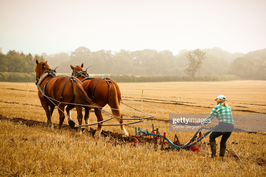 Ploughing