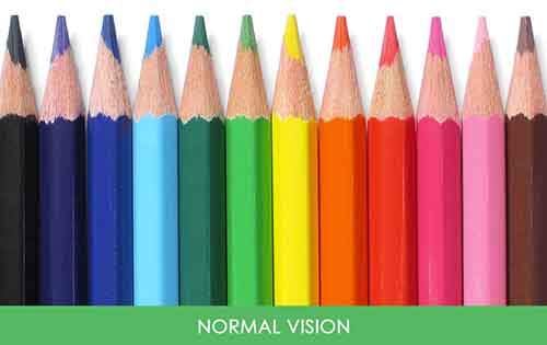 different-types-color-blindness-photos-2