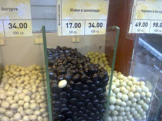 Они смогли влиться в новый коллектив и замаскироваться. Подборка смешных фото Они смогли влиться в новый коллектив и замаскироваться. Подборка смешных фото