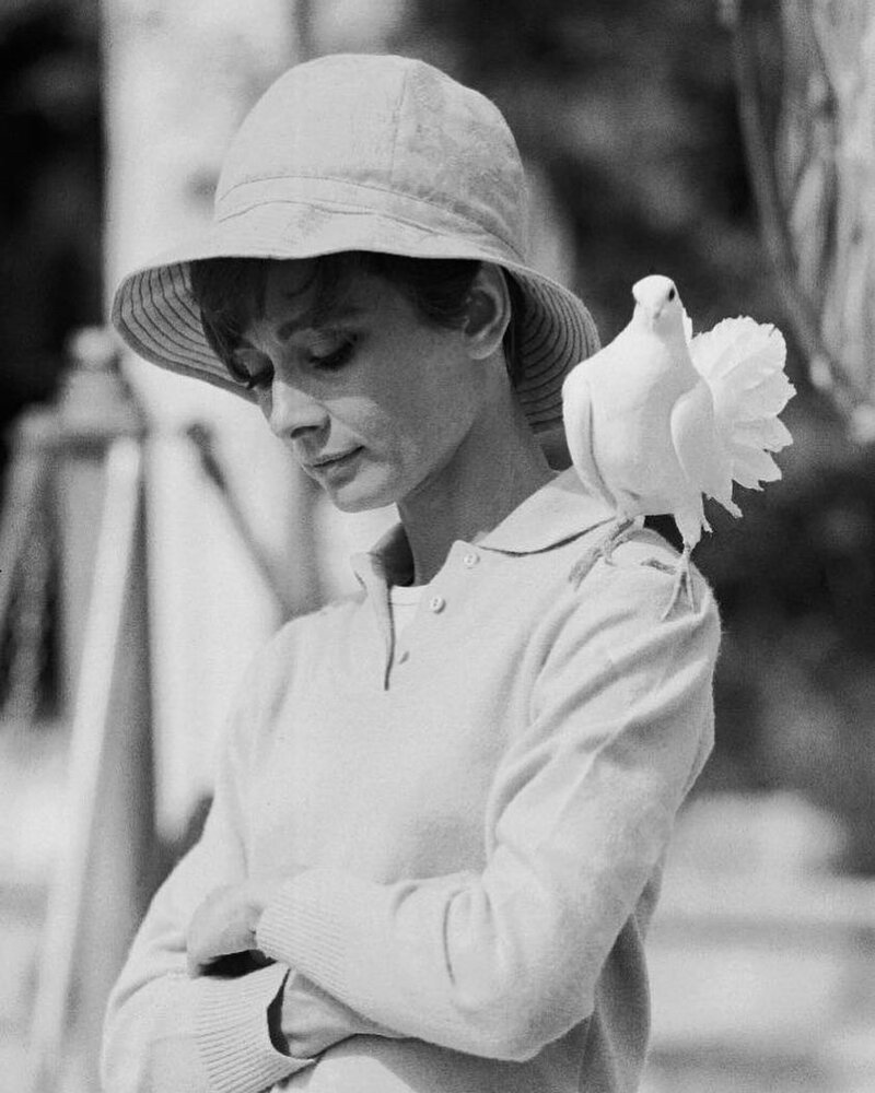 13. Одри Хепбёрн, 1967 актер, в мире, знаменитости, люди, певец, фото, фотография