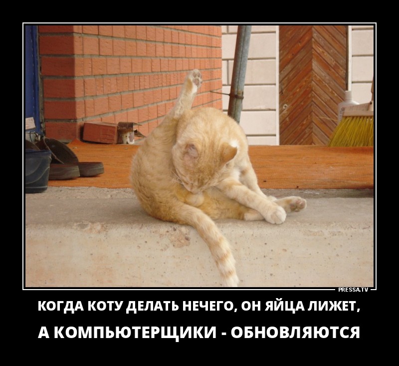 Душевные, картинка с надписью ты когда сам себе ставишь лайк