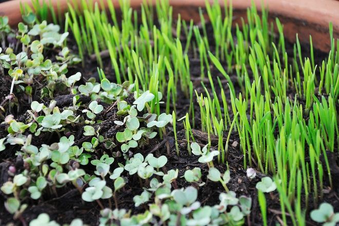 Farm-To-Table: Bring The Outdoors In With These Design Ideas