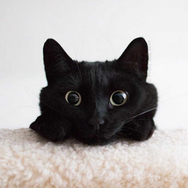 10 прелюбопытнейших фактов о нашем мире