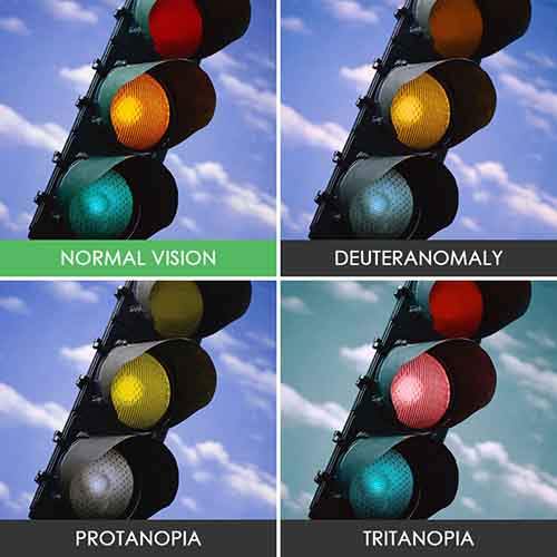 different-types-color-blindness-photos-3