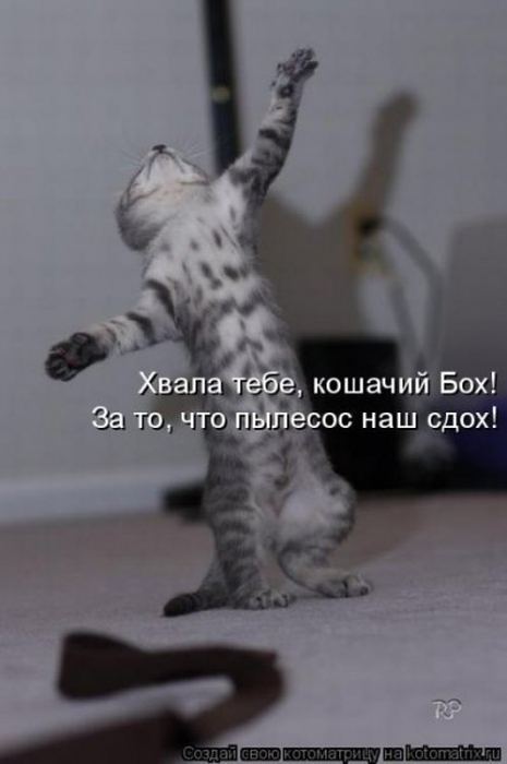 Мысли вслух :)