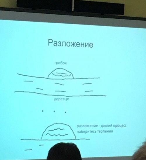 Как выглядит презентация по биологии настоящего прокрастинатора mir-interes.info