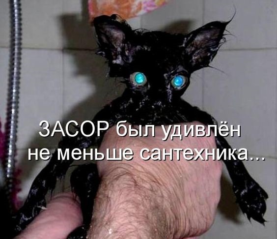 Юмористические жизненные ситуации в картинках Юмористические жизненные ситуации в картинках