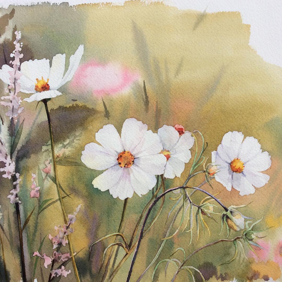 ÐšÐÑÑÐ¸Ð½ÐºÐ¸ Ð¿Ð¾ ÐÐÐ¿ÑÐ¾ÑÑƒ garden cosmos