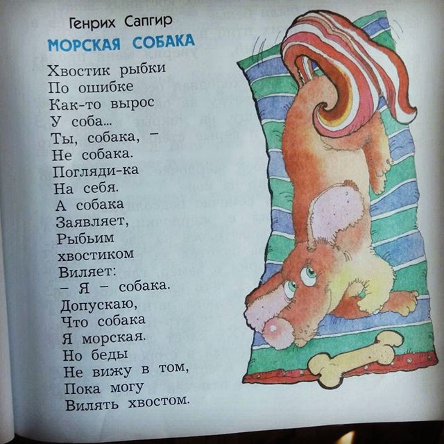 Бред в детских учебниках: самые нелепые и шокирующие примеры Бред в детских учебниках: самые нелепые и шокирующие примеры