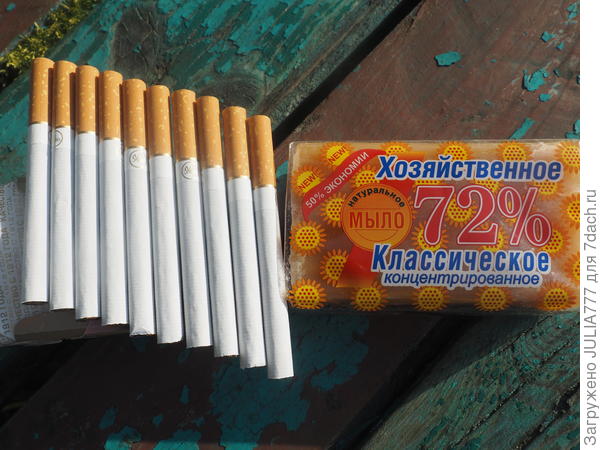 Для роз настойка-болтушка от тли и цветочной мушки