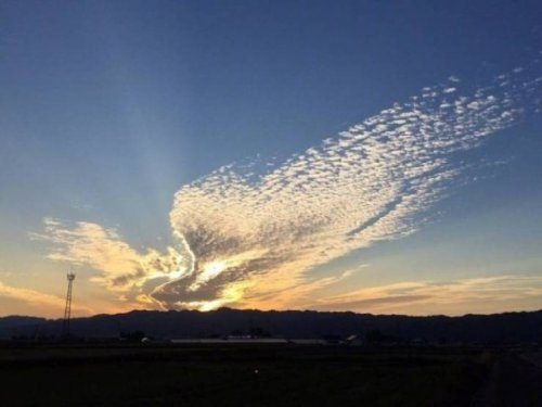 Новые прикольные фотоиллюзии Новые прикольные фотоиллюзии