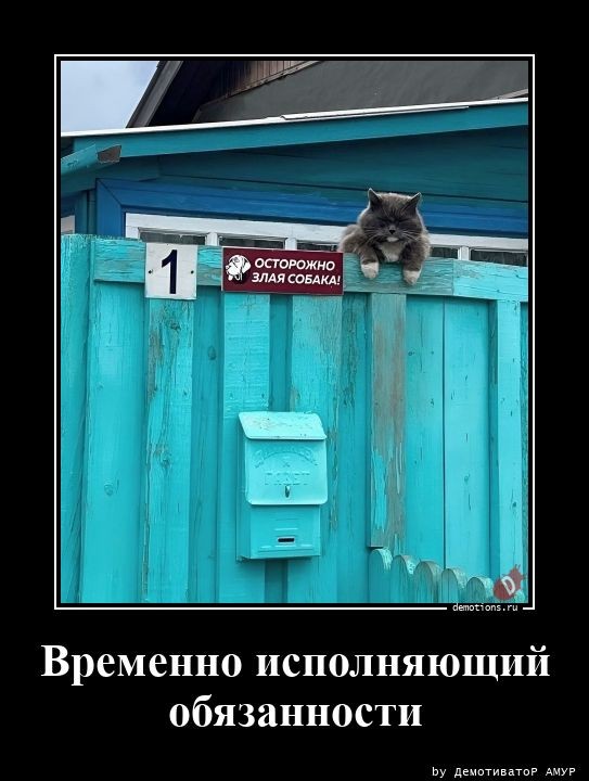 Демотиваторов пост: «Белые начинают и проигрывают» Демотиваторов пост: «Белые начинают и проигрывают»