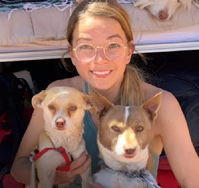 Девушка с собаками