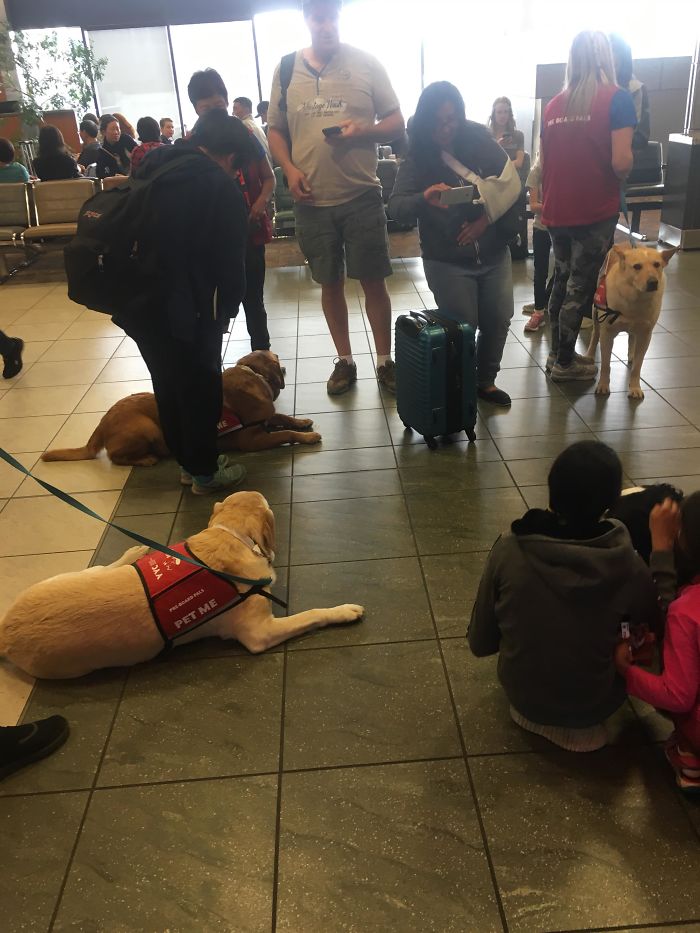 In Canadian Airports The Have 