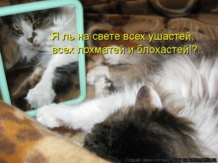 Мысли вслух :)