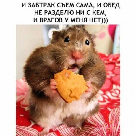 Свежий юмор для хорошего настроения 