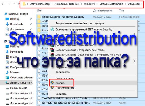 SoftwareDistribution – можно ли удалить, что это за папка в Windows 7, 8, 10, как ее очистить или переименовать, каталоги Downloads и DataStore