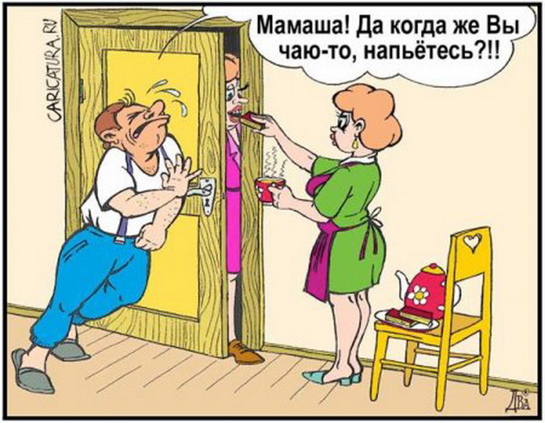 Картинка про тещу и зятя