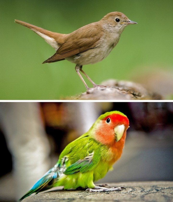 10 прелюбопытнейших фактов о нашем мире 