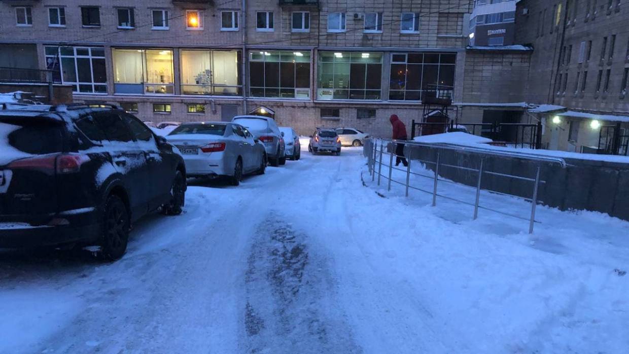 Коммунальные службы Петербурга создают видимость работы в центре, пока районы утопают в снегу Общество