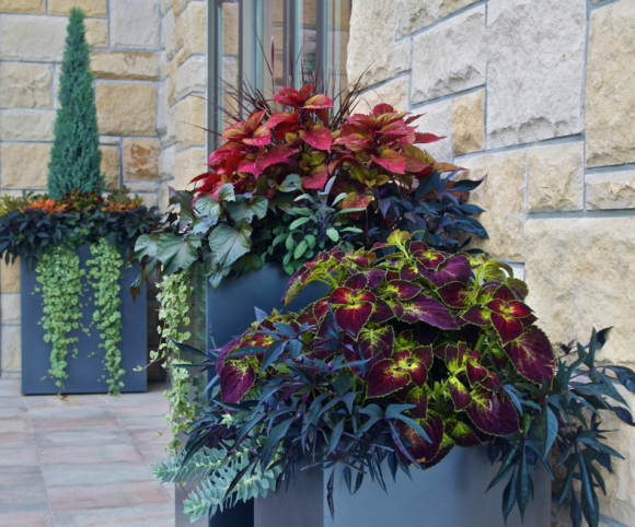 Контейнерная композиция на крыльце загородного дома