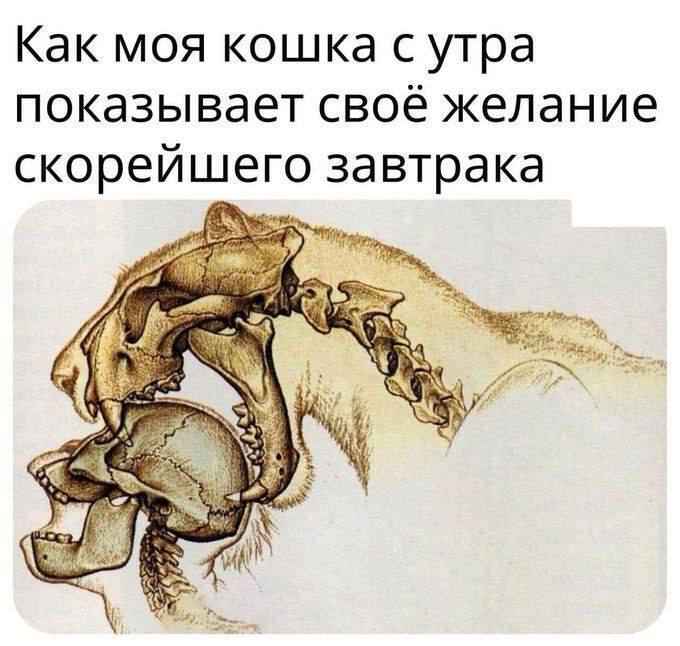 Интернет мемы в воскресение 