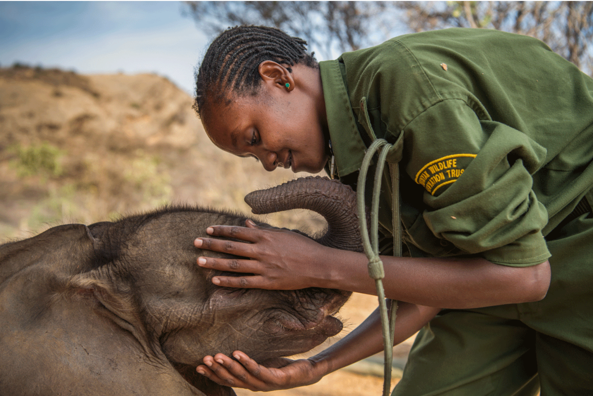 Reteti Elephant Sanctuary, Kenya  
Ami Vitale | Missoula, United States