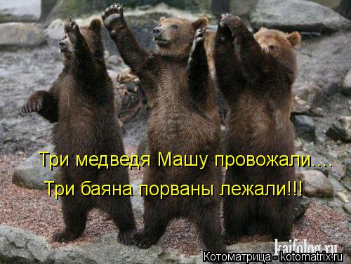 Котоматрица: Три медведя Машу провожали.... Три баяна порваны лежали!!!