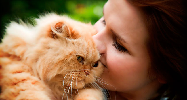 Анекдоты. Про Любовь... Анекдоты. Про Любовь... анекдоты