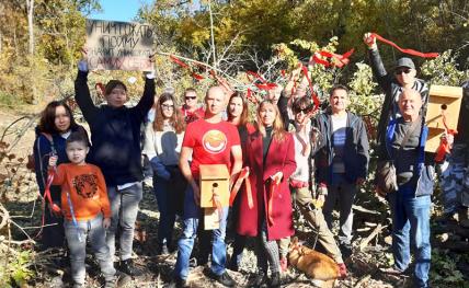 Письма в Париж: ЮНЕСКО зря поверила волгоградским чиновникам