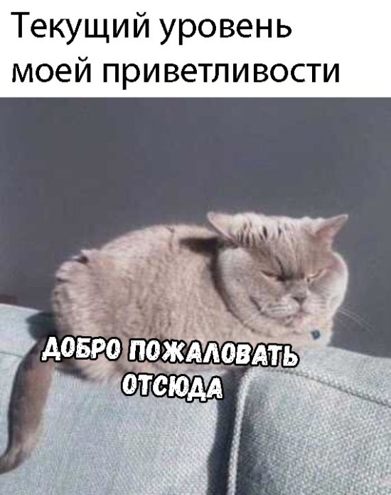 Подборка прикольных картинок Подборка прикольных картинок смешные картинки