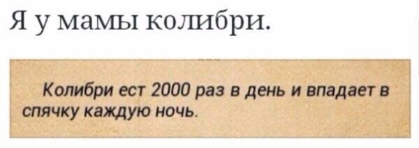 Пробка - это дураки и дороги в одном месте                           
