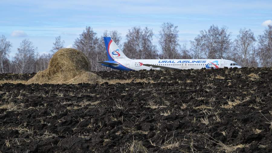 Часть пассажиров севшего в Красноярске самолета из Индии оказались вегетарианцами