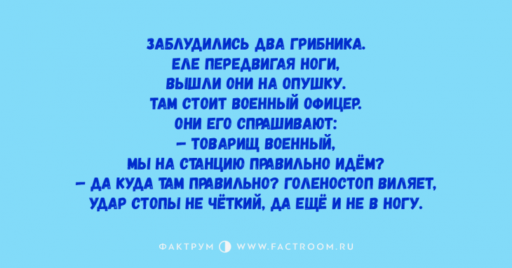 Топ 10 уморительных анекдотов, оживляющих рабочие будни