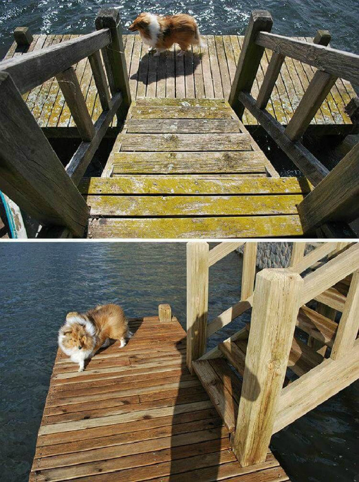  Интересные истории.