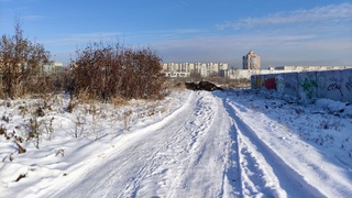 Тропа здоровья в Барнауле / Фото: amic.ru